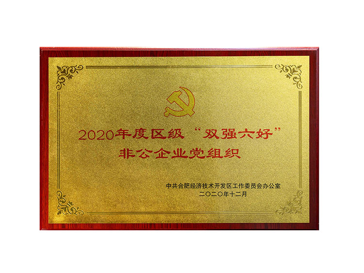 2020年度區(qū)級(jí)“雙強(qiáng)六好非公企業(yè)黨組織“