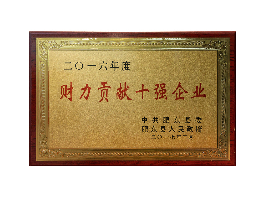 2016年度財(cái)力貢獻(xiàn)十強(qiáng)企業(yè)